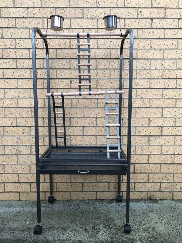 140cm Bird Parrot Canary Bird Play Stand Gym | With Ladder