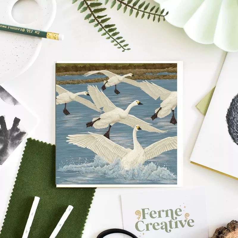 ‘Arrival of Bewick’s Swans’ Illustrated Greetings Card