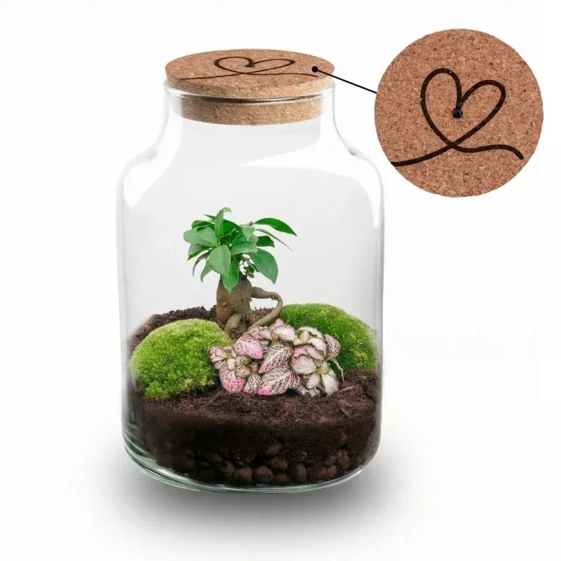 'HEART' terrarium Little Milky + Engraved cork with light - Bottle garden DIY kit - 17 cm 25 cm