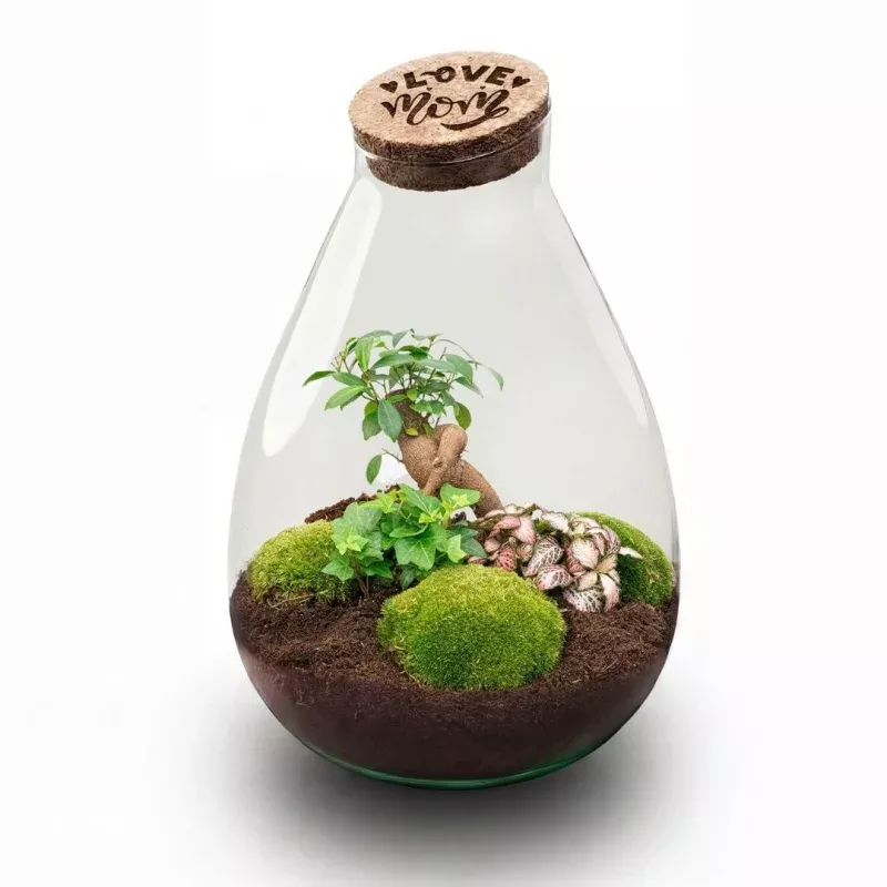'LOVE MOM' terrarium Drop XL + Engraved cork - Bottle garden DIY kit24 cm 37 cm - Mothers Day