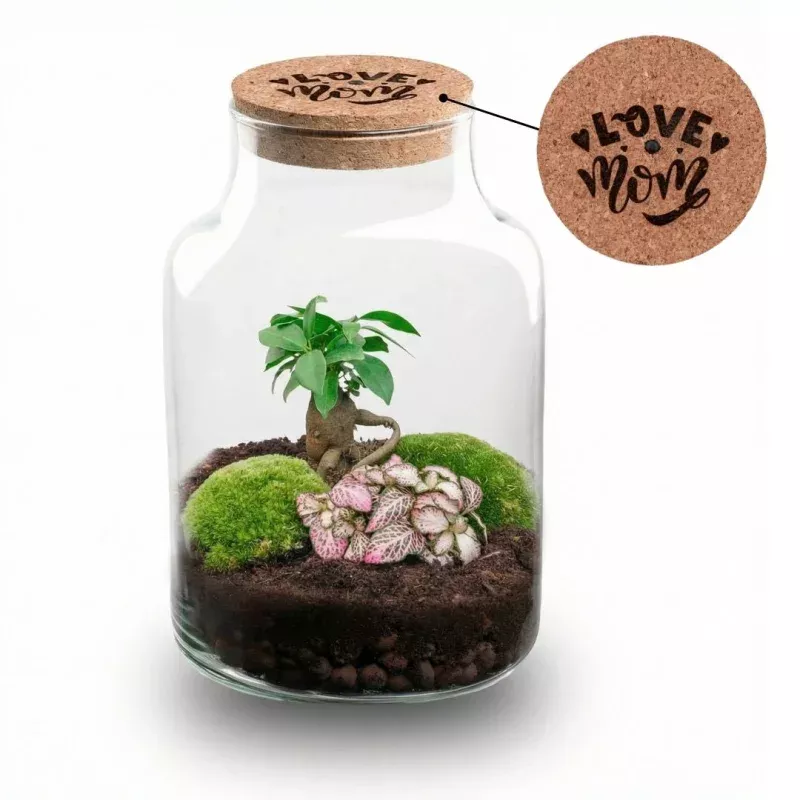 'LOVE MOM' terrarium Little Milky + Engraved cork with light - Bottle garden DIY kit - 17 cm 25 cm