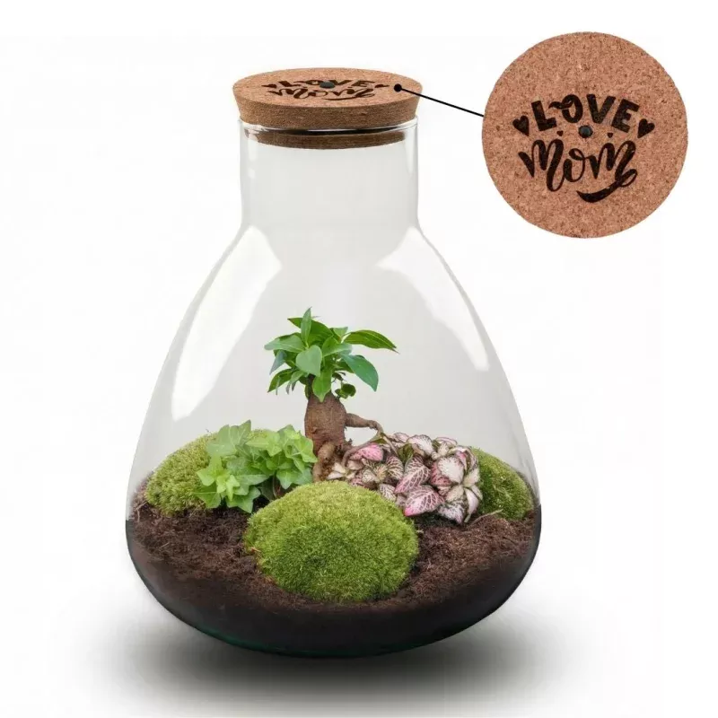 'LOVE MOM' terrarium Sam + Engraved cork with light - Bottle garden DIY kit - 24.5 cm 30 cm - Mothers Day