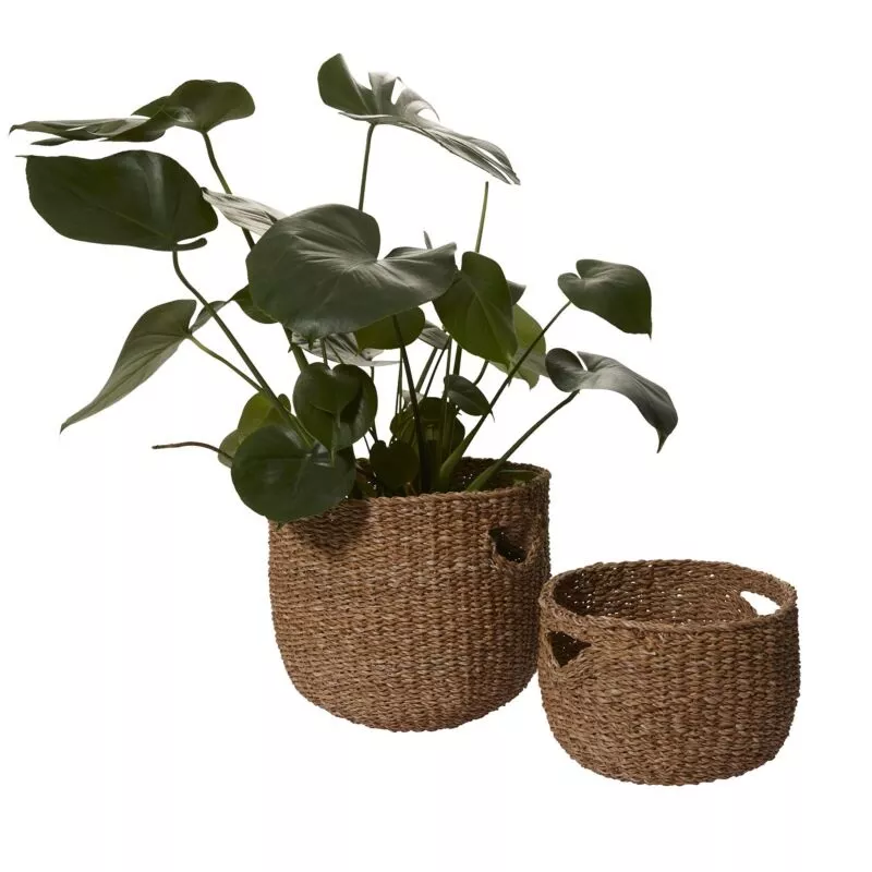 Selene Basket|12″|13.75″
